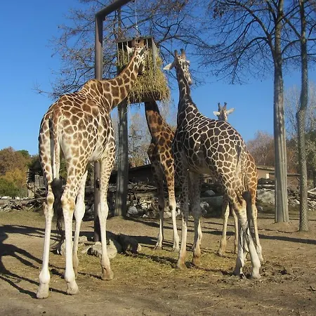 Hotel Db Verona Airport Congress &