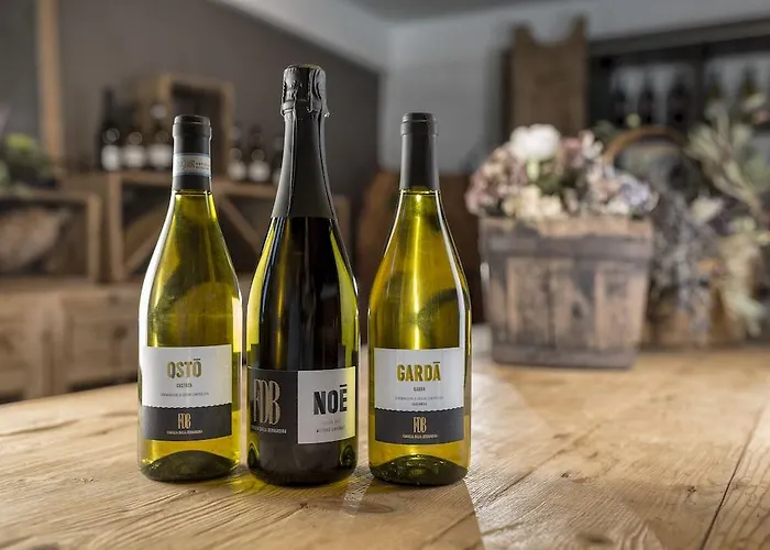 Db Verona Airport Congress &